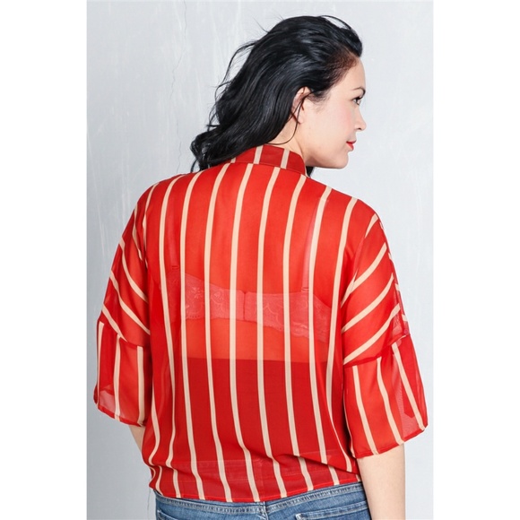 RUST CLASSIC SHEER POLISH PLUS SIZE BLOUSE - Picture 2 of 3